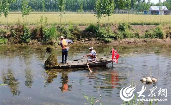 微山县韩庄镇守护美丽河湖 绘就生态画卷