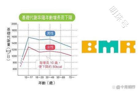 如何降低中年胖肚子的风险，找到原因，做4方面改善