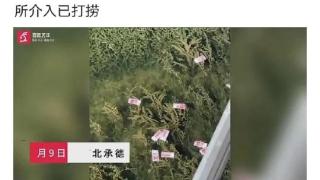 老太太站在桥上将百元钞票撒向河中，警方则带回处理