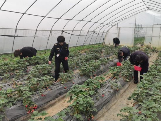 重庆巴南区：柔性执法 彰显农业执法“温度”