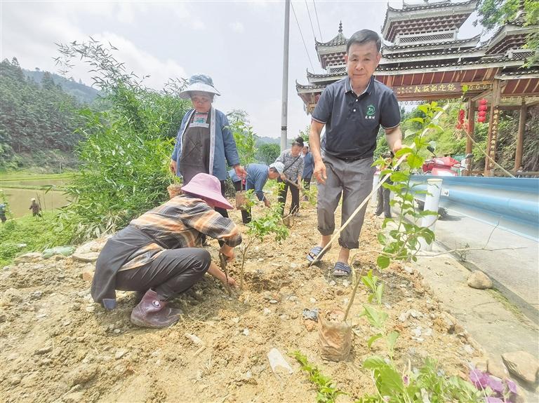 发挥“五老”余热 推进乡村治理