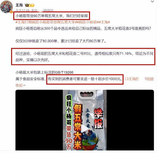 王海再锤小杨哥！直播间售假五常大米被举报，小杨哥紧急回应！