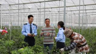 广东德庆：家庭农场来了“税费管家”