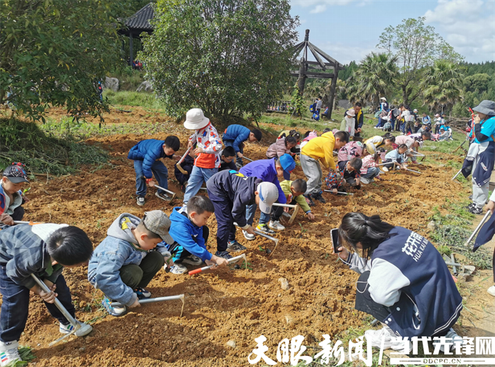 【天眼观察】新蒲新区：山水乡愁人相亲 文旅融合业态丰