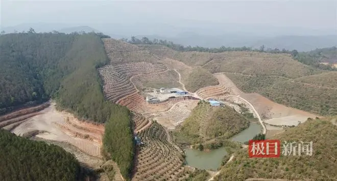 夫妇投资两千万在云南建果园屡遭野象破坏，基地运作近乎瘫痪，人象冲突何解？