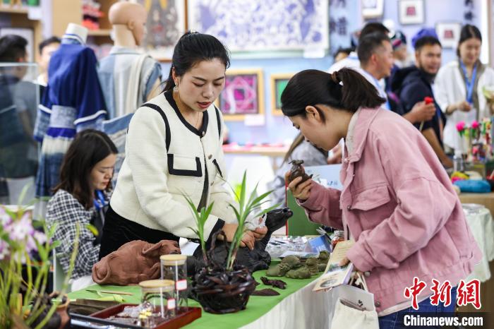 第二届全国乡村振兴职业技能大赛贵州展区吸引观众