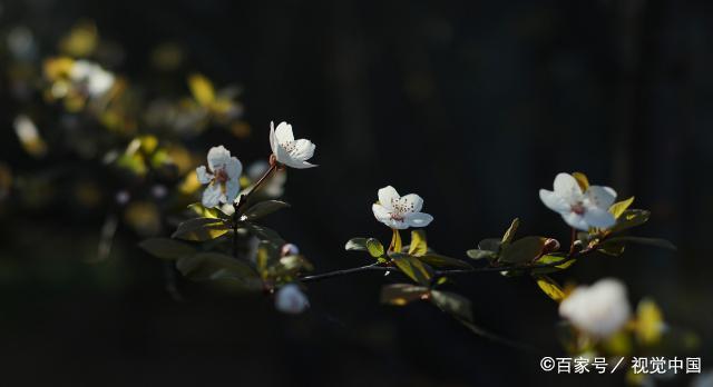 到了晚年，才看清：想要儿女孝顺，作为父母不能做这两件事