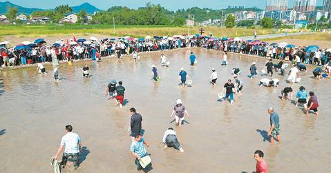 渠县：“村运会”尽显“新农人”风采