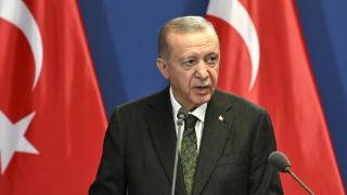 埃尔多安称土耳其可能“进入”以色列