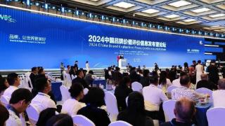 “2024中国品牌价值”放榜，鲁南制药连续五年过百亿