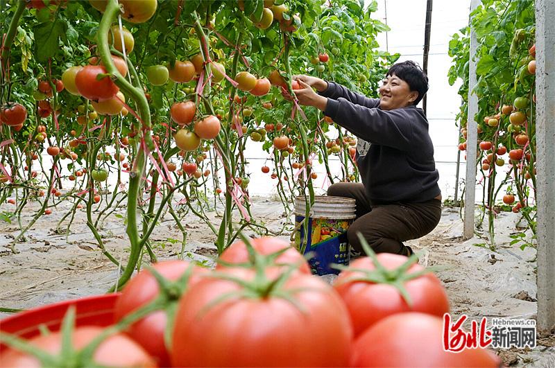 产业协同提质增效 衡水10年承接京津5000万元以上项目161个