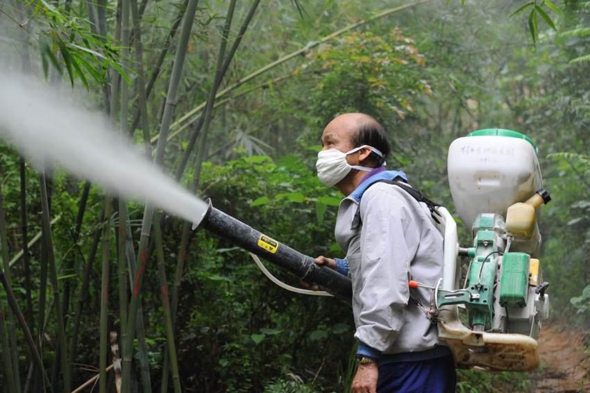 广东林业有害生物防治取得阶段性成果