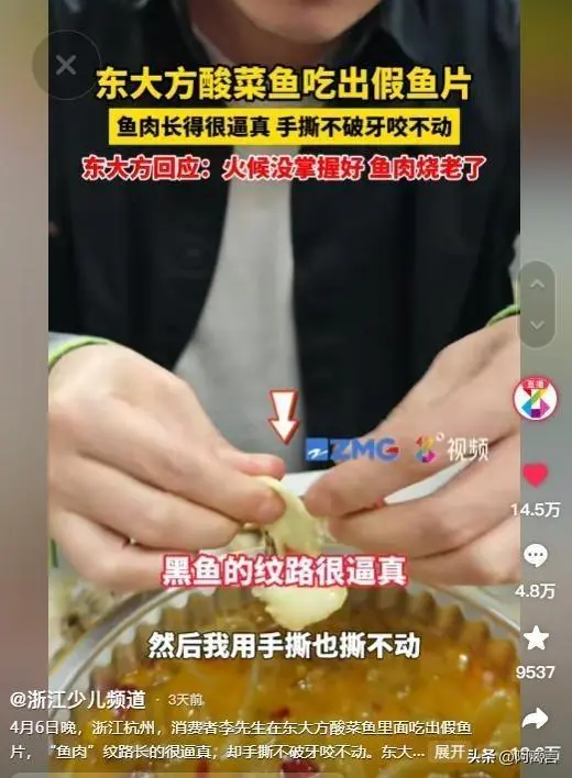 还能这样？食客疑酸菜鱼为塑料制，专家实验后：鱼肉就是塑料做的