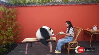 360度拍摄矩阵让大运选手 把“真实动态的大熊猫”带回家