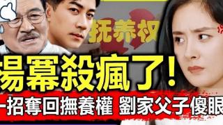 杨幂花5.4亿要夺回小糯米抚养权？刘恺威被曝火速带女儿移民加拿大