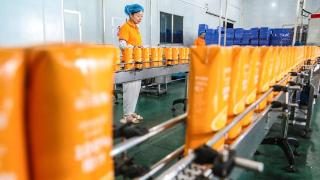 江西南丰：企业订单旺 蜜桔果汁生产忙