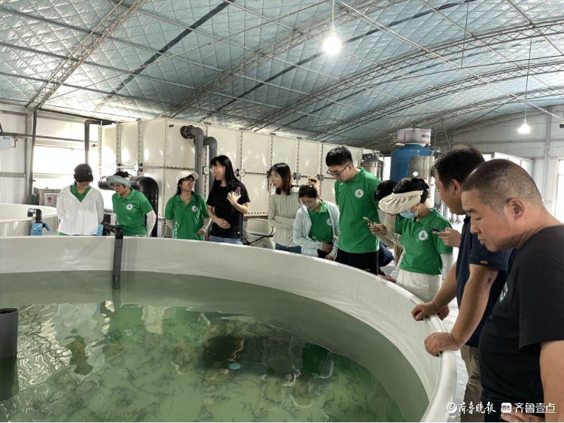 北京林业大学研究生来东营市开展暑期社会实践及科技服务活动