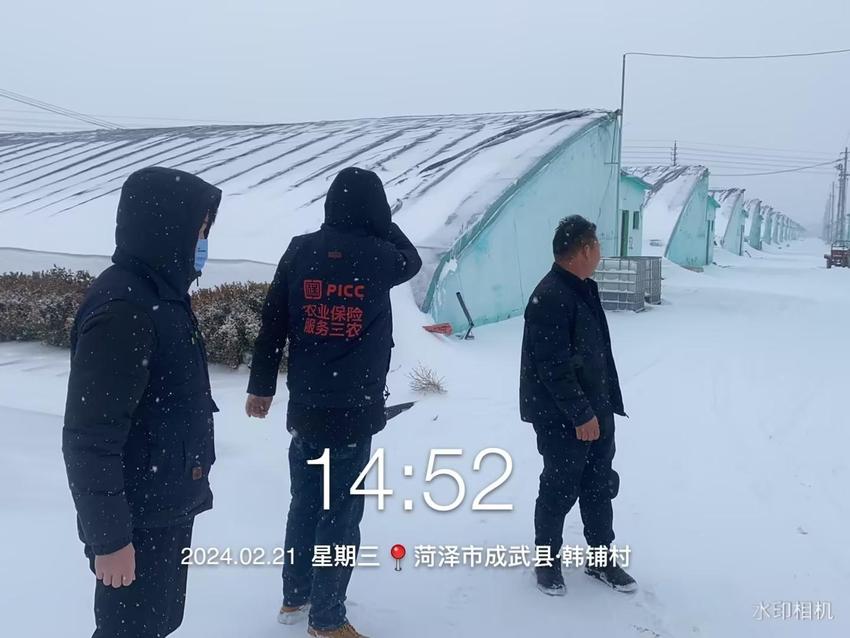 齐心协力战风雪，人保财险山东省分公司全力应对罕见雨雪冰冻恶劣天气