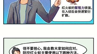 PFOS淘汰记：红火蚁咬人怎么办