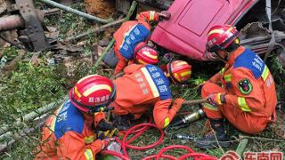 龙岩漳平：一货车侧翻坠入山林 消防员成功救援受困司机