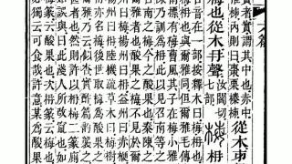 以梅抒情，中国赏梅极简史