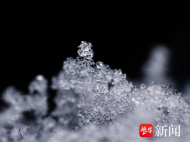 探秘微观世界下的雪花究竟长啥样