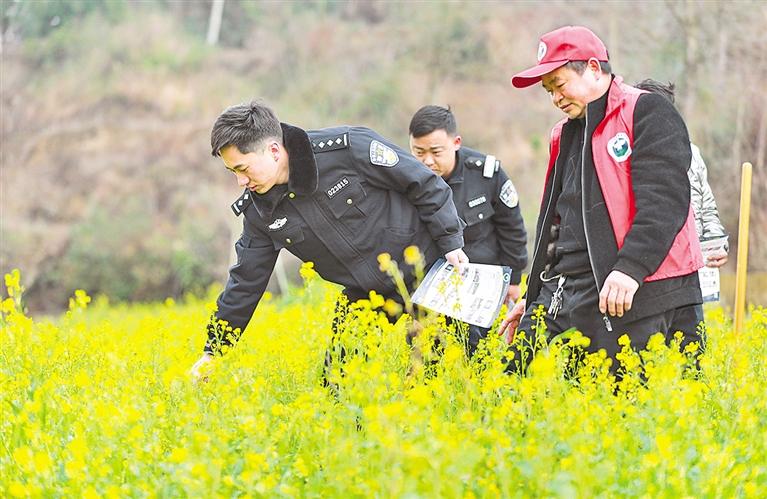 毕节：综合治理推进平安建设