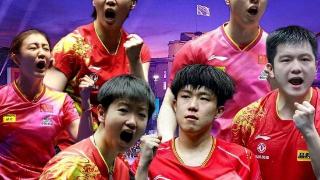 张本智和：奖牌是我的目标！7月26日乒坛传来马龙、申裕斌的消息