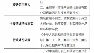 因贷款被挪用于购股票等，中国银行嘉兴市分行被罚35万元