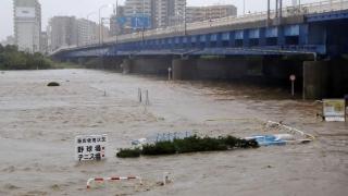 驻日美军基地疑“放毒”，东京一地区超半数居民血检异常