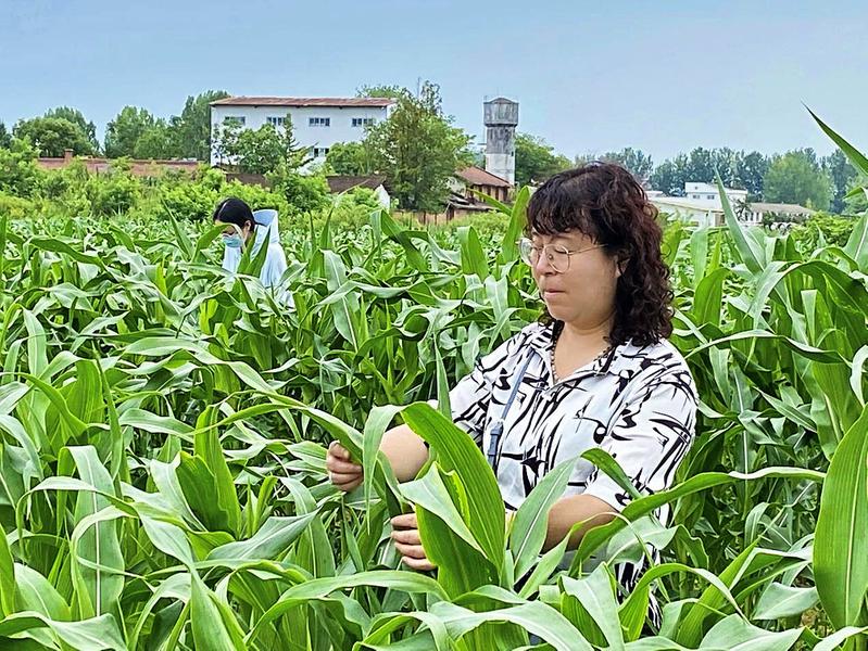 防治草地贪夜蛾 七点技巧很关键