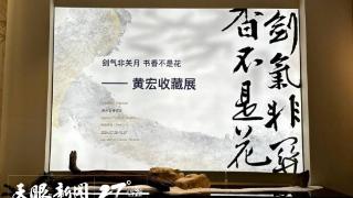 《剑气非观月 书香不是花——黄宏收藏展》在贵州省博物馆开展