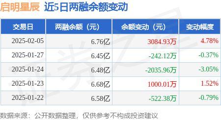 启明星辰：2月5日融资买入8690.08万元，融资融券余额6.76亿元