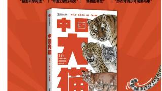《中国大猫》：一本专业又有趣的中国野生猫科动物科普笔记｜新书架·假期阅读③