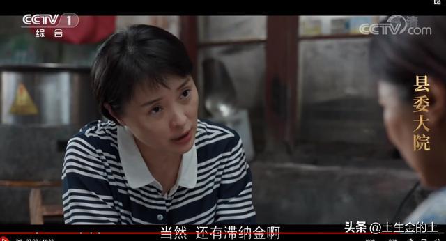 《县委大院》吴越饰演的艾书记就是这样的女人，却很招人喜欢