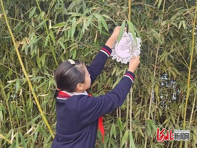 石家庄市维明路小学西校开展植树节主题活动