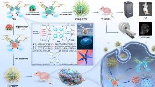 中国科学院成功开发 19F MRI “分子无人机”：药物精准递送