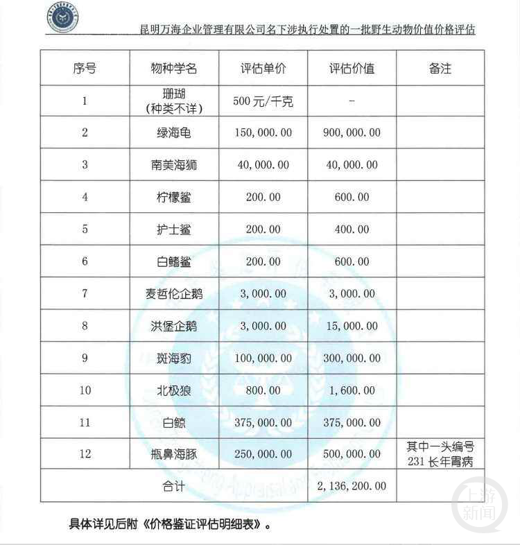 170次竞价！白鲸、企鹅、鲨鱼等一批海洋动物司法拍出1462万余元