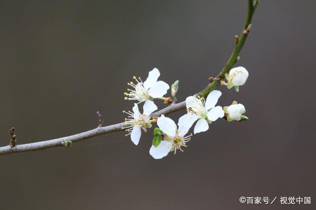 异性之间相处，如果共享过以下这几样东西，关系肯定会越界