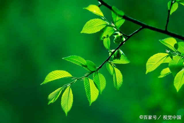 女人动情后的样子，就是变得很“热烈”