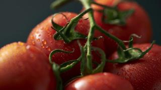西红柿的最佳搭配，夏天吃血管、养脾胃