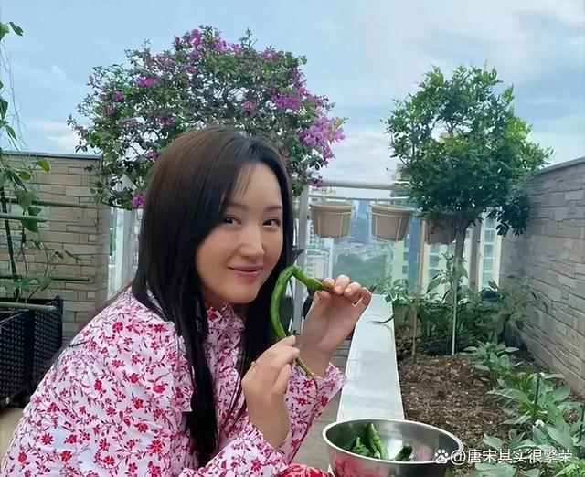 “51岁杨钰莹的“豪宅“火了，一个人养花种菜与狗相伴，真的好
