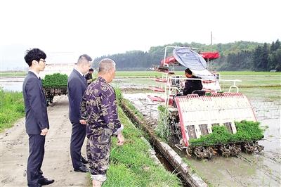 践行“大食物观”   助力食品多元化供给