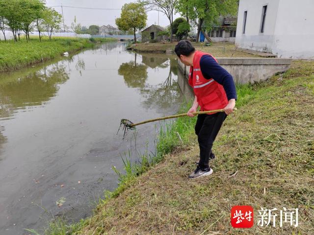 常熟市碧溪街道周家桥村扎实推进农村河道治理工作