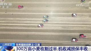 全国已收获冬小麦面积超过2.97亿亩收获进度过九成五