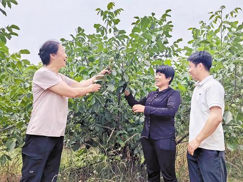 “老基地”新变化