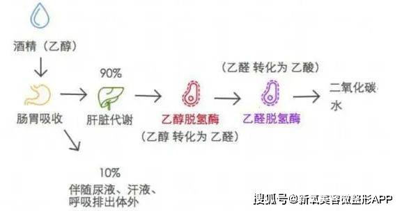 泫雅酒后吐真言，金晓钟气到哭，年轻人真的需要护肝吗？