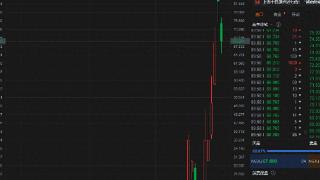 冲击第二大市值车企未果 越南“特斯拉”VinFast开盘下挫20%