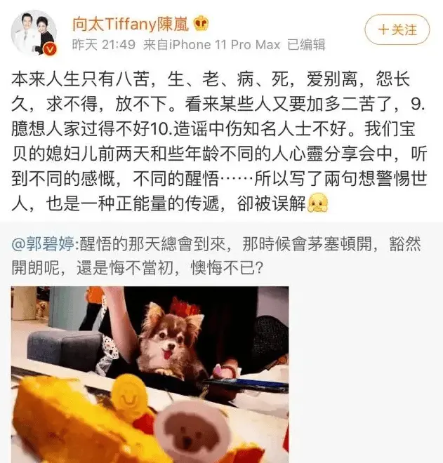 决定离婚？郭碧婷因向佐出轨患上产后抑郁，连生俩娃依然被婆婆向太控制财产！