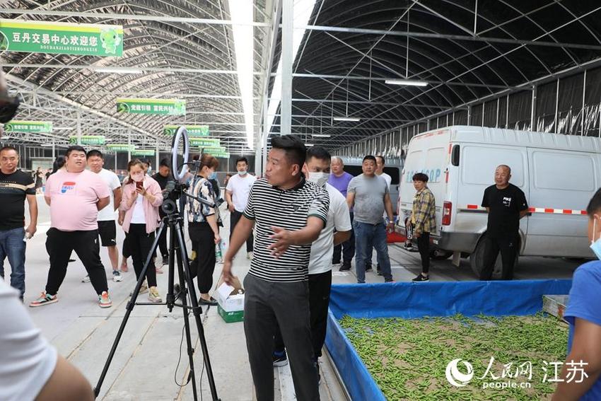 江苏连云港：一条豆丹养出10亿元产业链